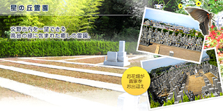 ̋u_gbvC[W
