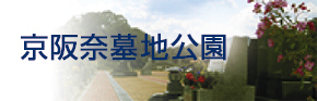 ޕn